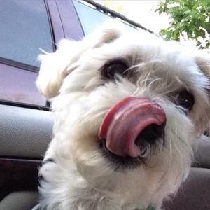 Meet your Posher, Citlally